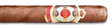 Ashton Symmetry Robusto