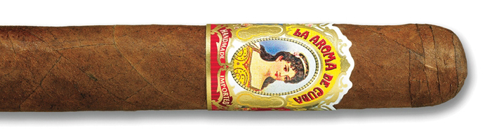 Robusto