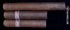 塔图阿赫 TATUAJE BOMBAZO CAPA 特别版雪茄