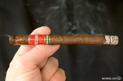 奥尔特加 ORTEGA SERIE D MADURO #9 雪茄