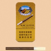 长城雪茄迷你原味10支铁盒装_《长城雪茄迷你原味》