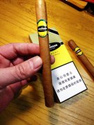 狮牌加勒比阳光雪茄