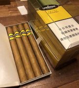 长城加勒比阳光雪茄深度解析
