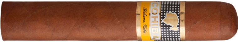  高希霸罗布图雪茄 Cohiba Robusto