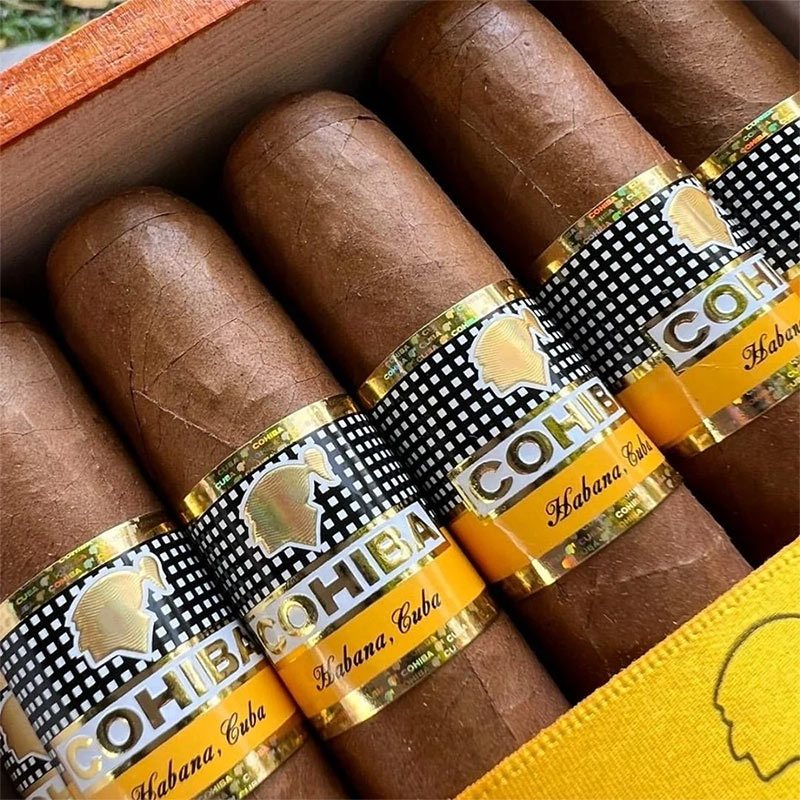 高希霸世纪六(Cohiba Siglo VI)雪茄