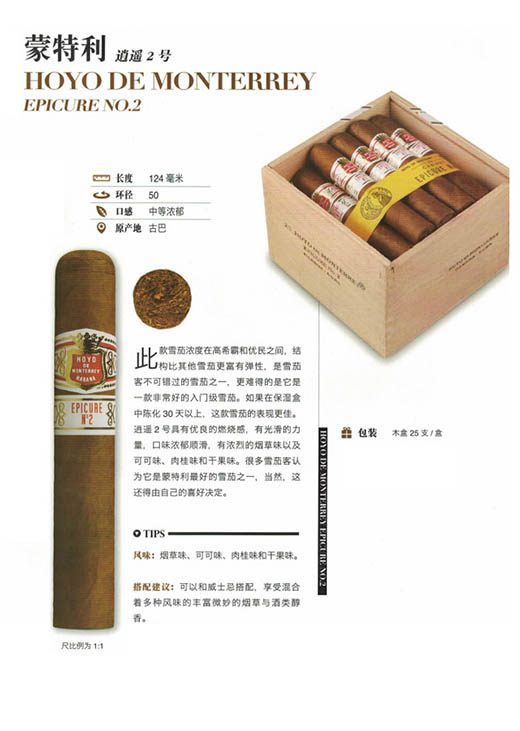 蒙特利逍遥2号（Hoyo de Monterrey Epicure No.2）