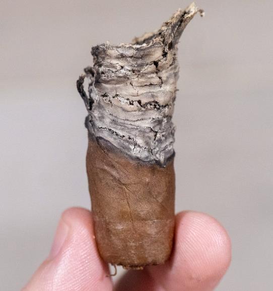 卡马乔宽叶托罗雪茄 - CAMACHO BROADLEAF TORO