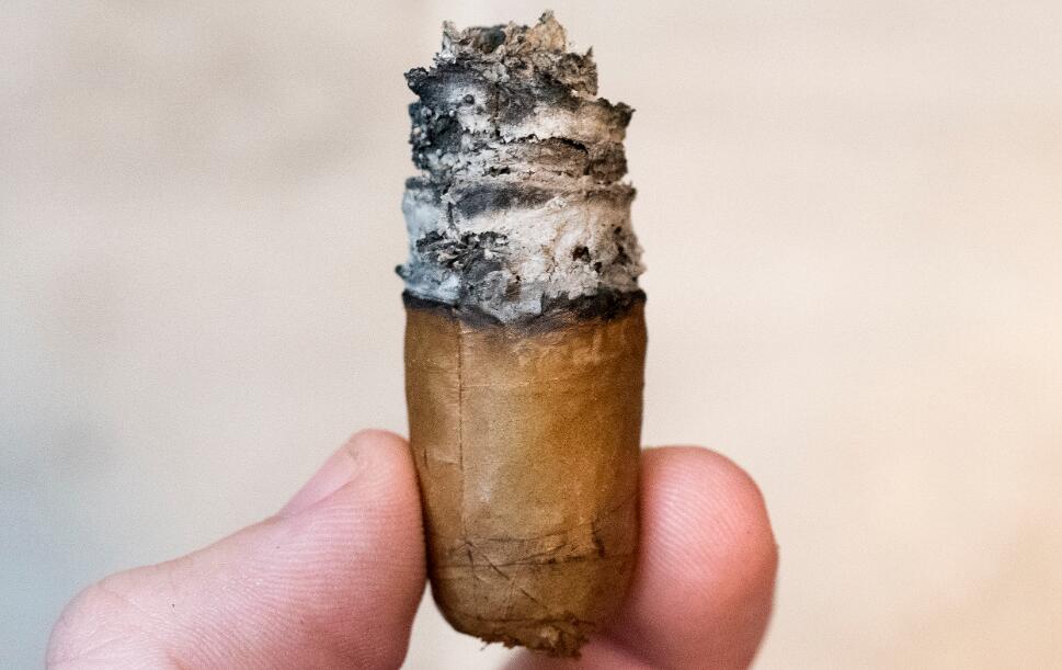 季诺尼加拉瓜罗布图雪茄 - ZINO NICARAGUA ROBUSTO