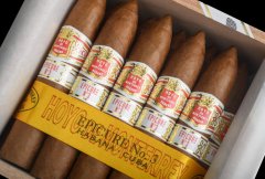 好友蒙特雷 逍遥3号雪茄西班牙首发 HOYO DE MONTERREY EPICURE NO.3