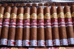 外交官PCC30周年限量版亚太区2022雪茄 Diplomáticos PCC 30th Anniversary Edición Regional