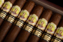 玻利瓦尔·雷根特斯2021年限量版 BOLÍVAR REGENTES EDICIÓN LIMITADA 2021